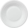 Paper Plates 9' White (100) Code11003