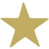 Self-inking Stamper Gold Star*DISCONTINUED*