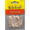 Mini Wooden Pegs (100) W2161020