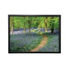 Walk Through The Bluebell Path Framed Print A2 16x24 Inches FP1STVCD16587A2S