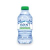 Avant Natural Mineral Water 330ml (Pack of 24) AVA003