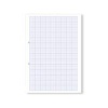 Hamelin Loose Leaf Graph Paper 20mm 1000 Page Punched 2 Hole A4 (Pack of 5) 100104521