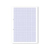 Hamelin Loose Leaf Graph Paper 10mm 1000 Page Punched 2 Hole A4 (Pack of 5) 100104375