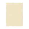 Decadry Parchment A4 Letterhead Paper 95gsm Champagne (Pack of 100) PCL1601