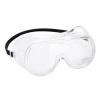 Portwest Direct Vent Goggles Clear (Pack of 20)